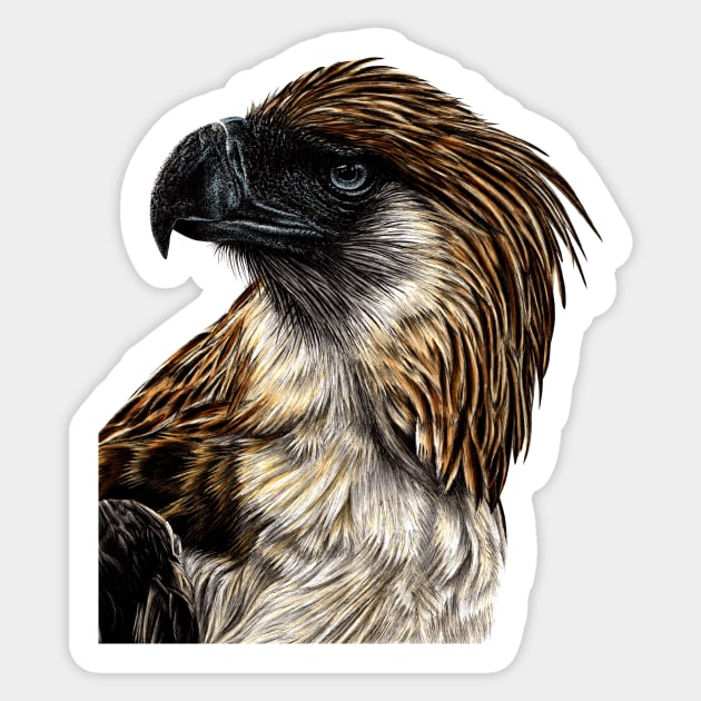 Philippine eagle Sticker by lorendowding